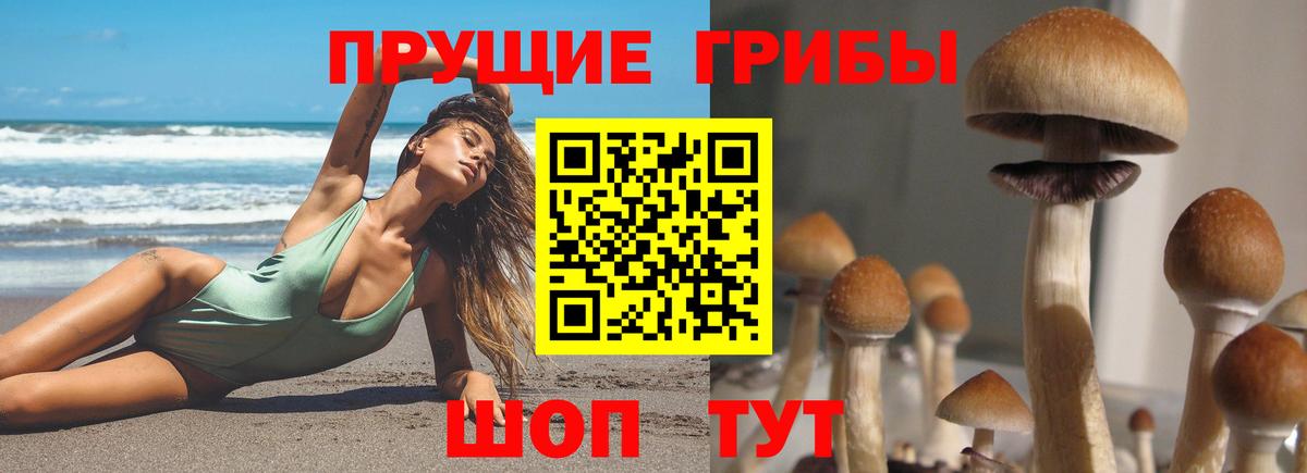 Ахтубинск  Псилоцибиновые грибы Cubensis  Псилоцибиновые грибы ЛСД  Вход с VPN 