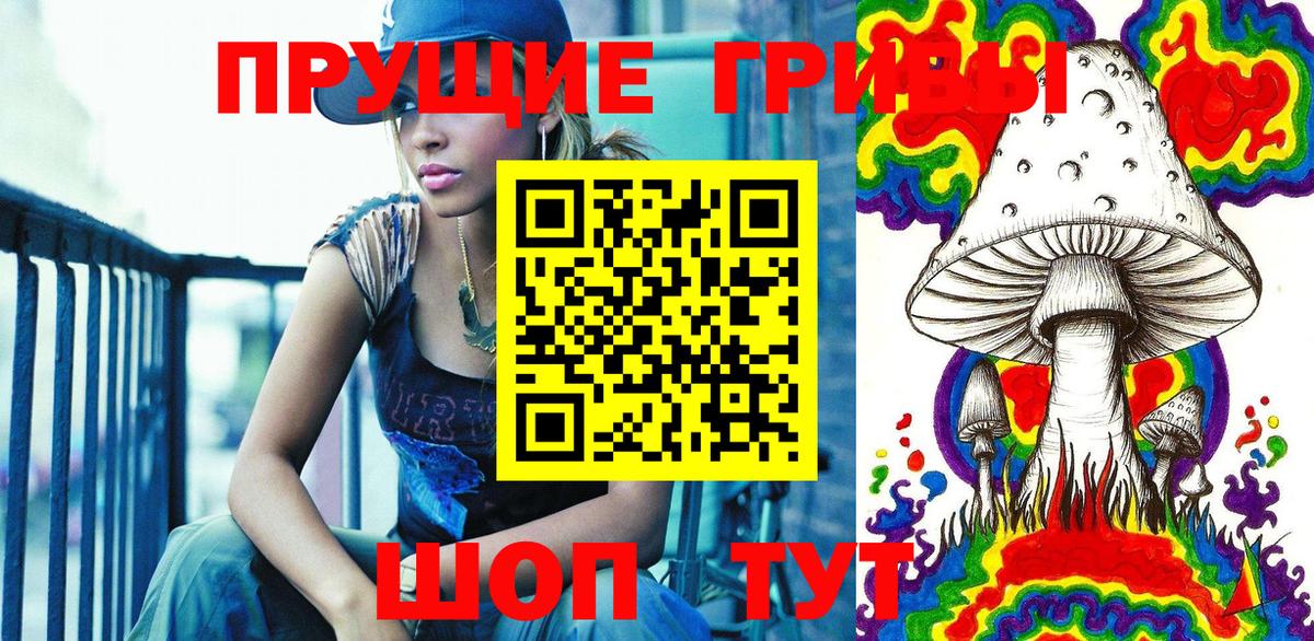 Псилоцибиновые грибы GOLDEN TEACHER Ахтубинск